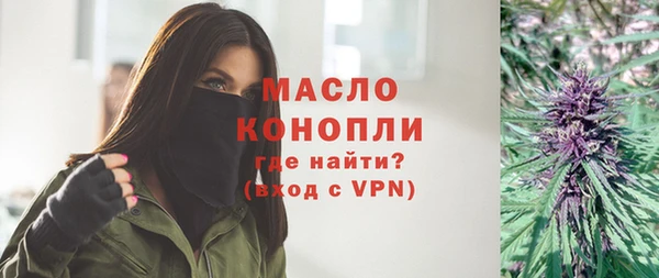 прущие грибы Каменногорск