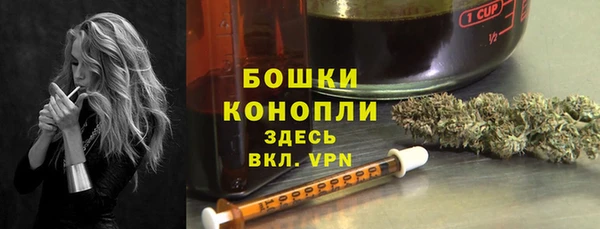 прущие грибы Каменногорск