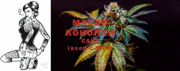 прущие грибы Каменногорск