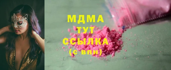 прущие грибы Каменногорск