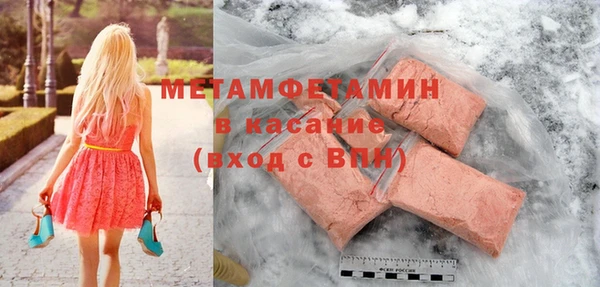 прущие грибы Каменногорск