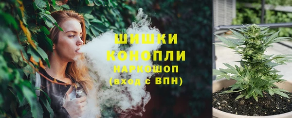 прущие грибы Каменногорск