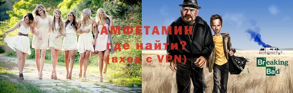 прущие грибы Каменногорск