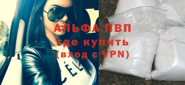 прущие грибы Каменногорск