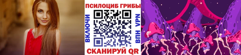 Купить где  Саки  Галлюциногенные грибы Psilocybe 